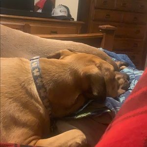 Meet your Posher, Austin